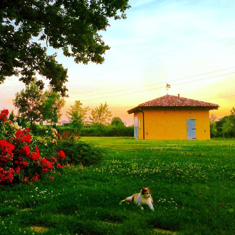 Vigorso 41 Country House Budrio  Bagian luar foto